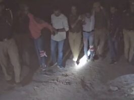 Noida Crime