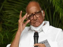 Maharashtra Assembly Election 2024