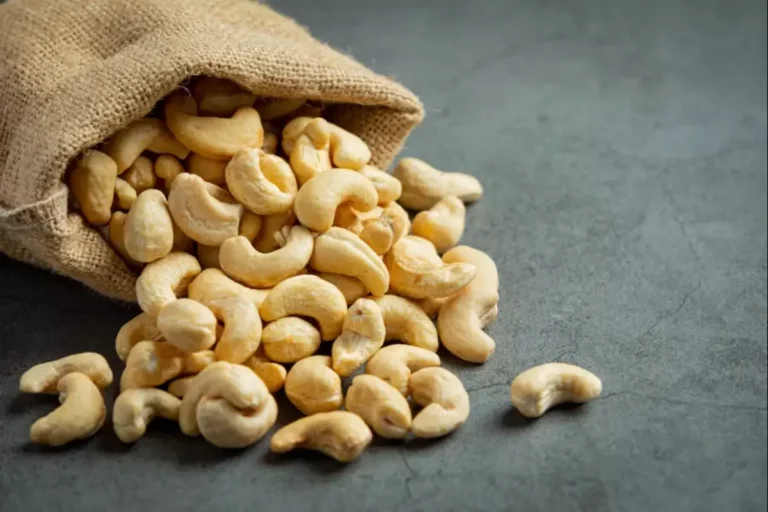 National Cashew Day 2024: जानिए इतिहास, महत्व, और स्वास्थ्य लाभ!