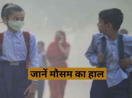noida weather update