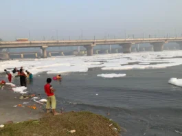 Yamuna River