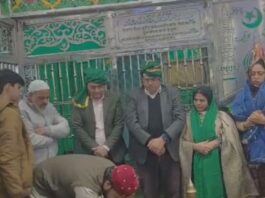 Amroha News