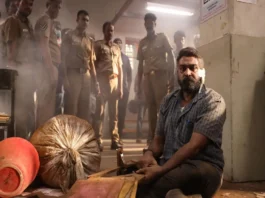 Maharaja Box Office China