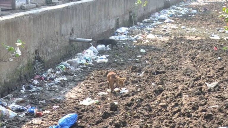 Kanpur News: कानपुर के नालों की स्थिति खतरनाक, एक मासुस ने गवाई जान, दो घंटे बाद मिला शव