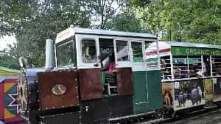 Kanpur News: दो साल के इंतजार के बाद अब ले सकेंगे Zoo में बाल ट्रेन का आनंद,बैठक में मिली मंजूरी