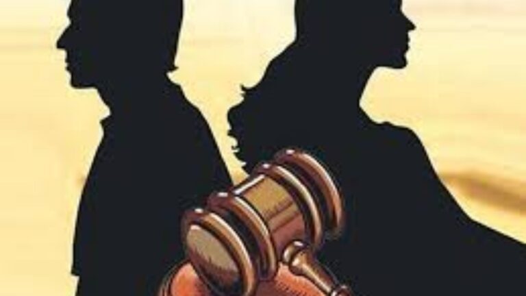 Sambhal Violence: पुलिस की कार्रवाई का समर्थन करना पड़ा महंगा, जानें पति ने क्यों दिया तलाक