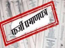 Bareilly News