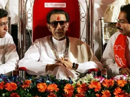 Thackeray brothers