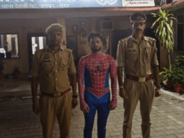 Meerut Spider Man