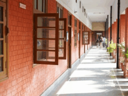 Delhi Collage