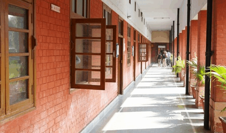 Delhi Collage