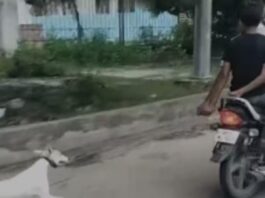 Lucknow