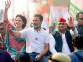 UP Politics