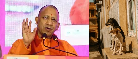 Yogi Govt