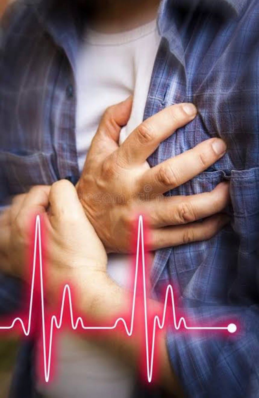 WhatsApp Image 2026-03-26 at 12.48.48 PM