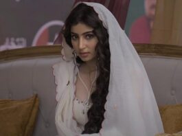 Bollywood News: ब्लॉकबस्टर के बाद सारा अर्जुन करियर को मिली नई ऊँचाई,जाने किस बड़े प्रोजेक्ट पर करेंगी काम