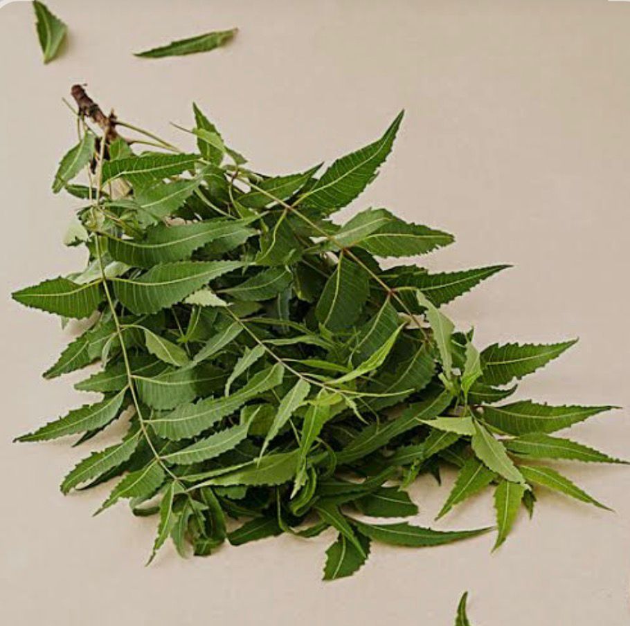 WhatsApp Image 2026-03-30 at 1.14.52 PM