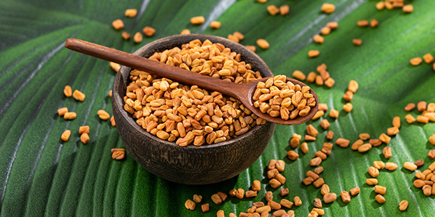 Fenugreek Seed