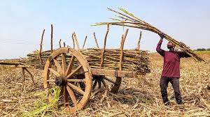 UP Sugarcane Farmers Payment