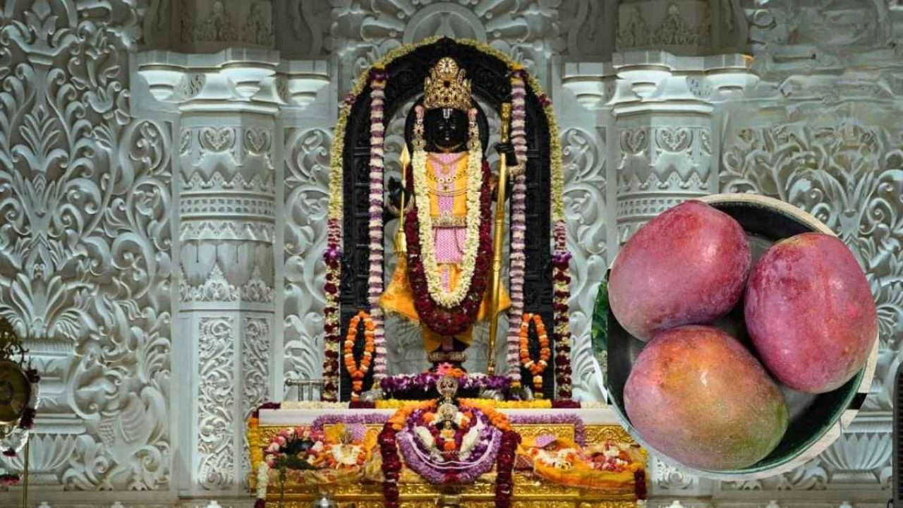 Most Expensive Mango in Ayodhya