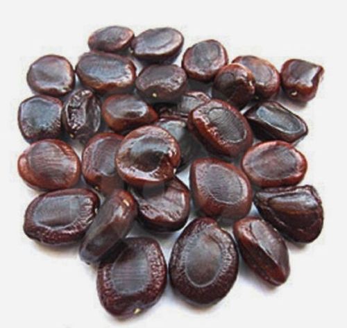 tamarind seeds health benefits