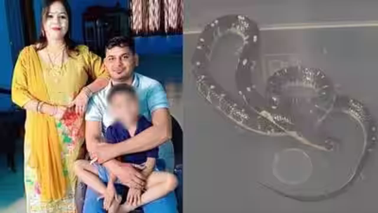 Meerut Snake Bite Murder Case