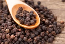 Black Pepper Benefits: खाली पेट काली मिर्च खाने के होते हैं अनगिनत फायदे वजन,जानिए कैसे उठाएं लाभ