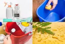 Salt Water Mopping Hacks: बारिश में घर से कीड़े दूर रखने के लिए अपनाए ये आसान घरेलू उपाय, रसोई की ये चीज़ आएगी काम